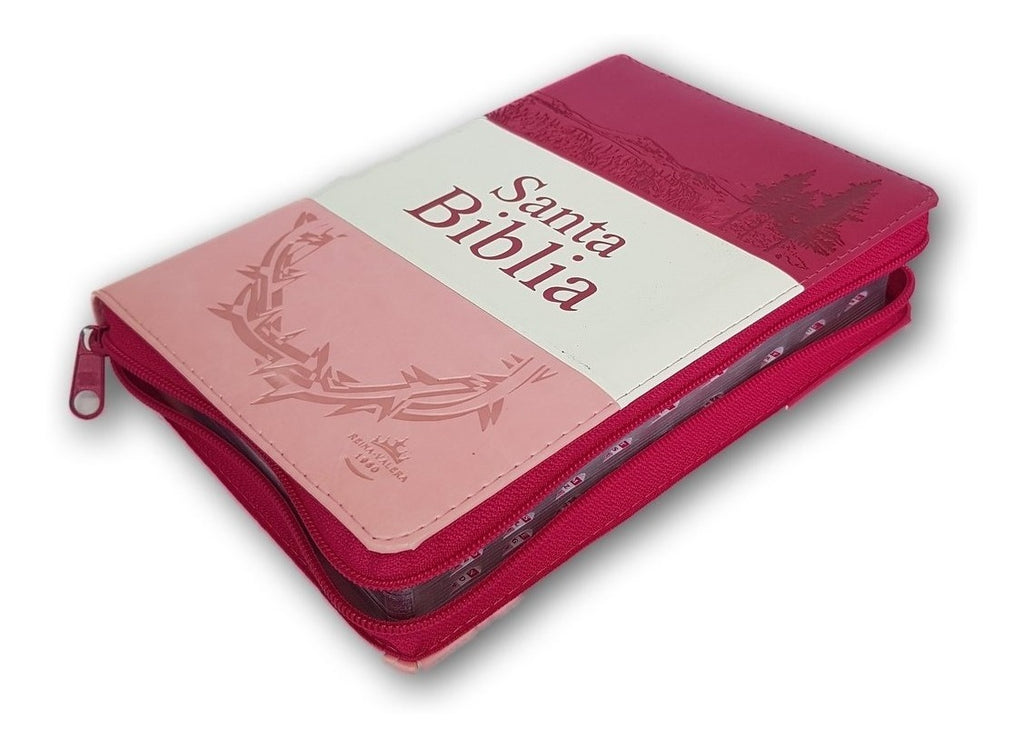 Biblia Reina Valera 60 Fucsia/Rosa Pastel letra grande, cierre e Índic –  Libreria Maranatha