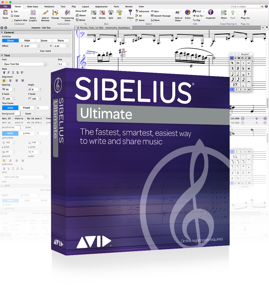 sibelius perpetual license