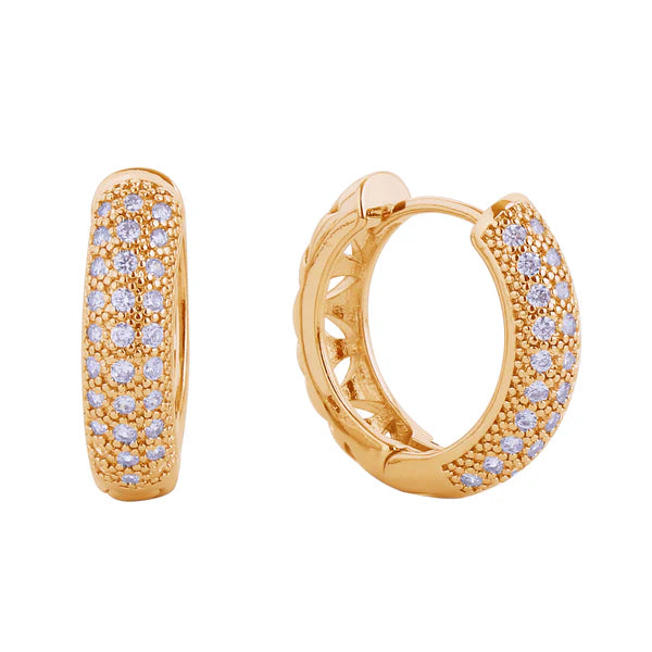 14k Gold Dipped Cz Huggie Hoop Earring SJE310494 (12PAIR)