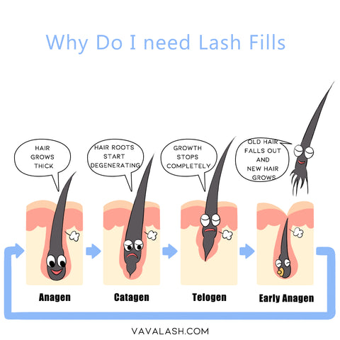 Why do you need to remove eyelashes?