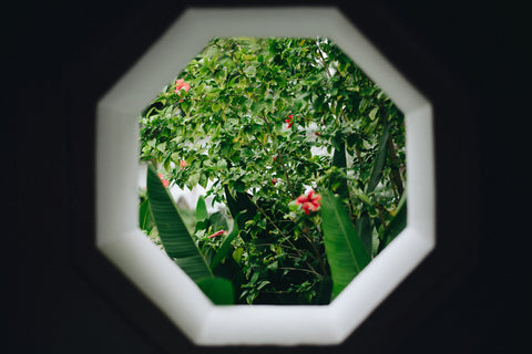 octagon frame in wall showing green garden