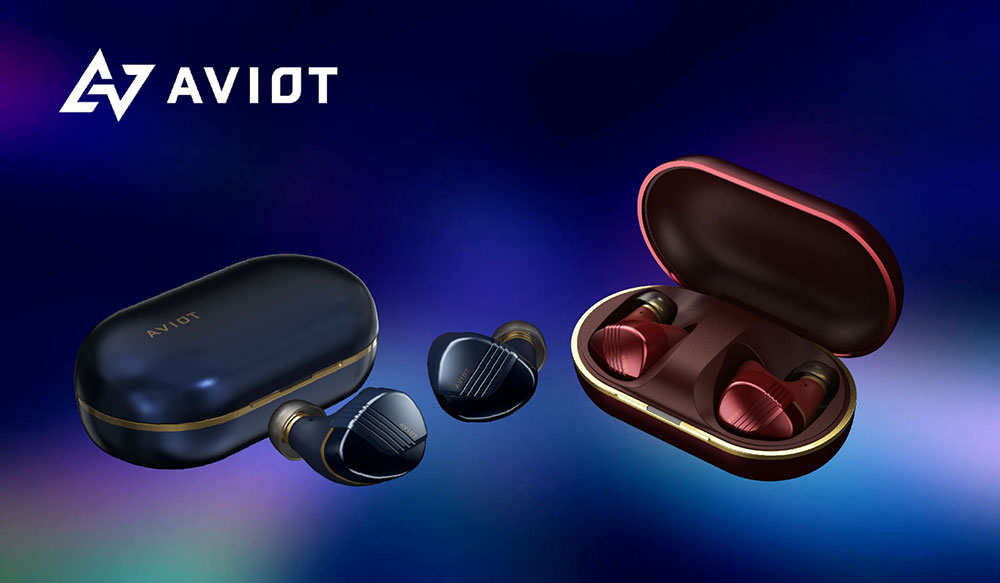 AVIOT | 真無線降噪藍牙耳機 TE-W1