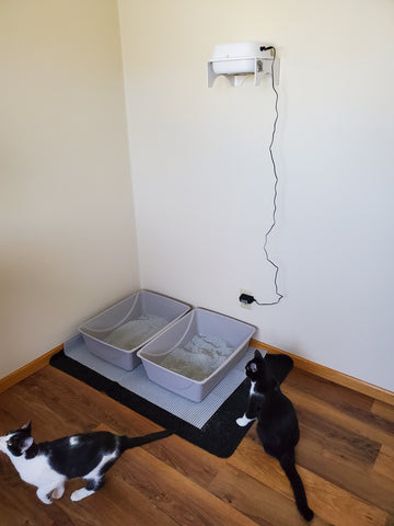Litter boxes, cats, purrified air filter mounted on wall