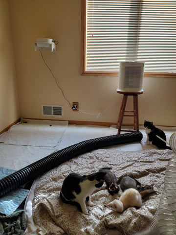 Purrified Air filter with ferrets and cats