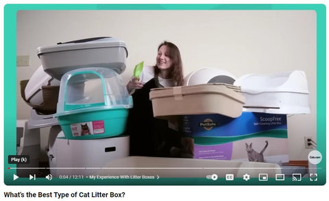 mallory and litter boxes