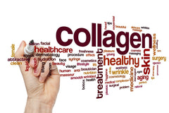 collage of collagen related keywords written 