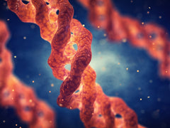 molecular model rendering of collagen protein