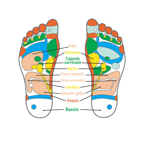 tabla de reflexologie picioara smartfeet