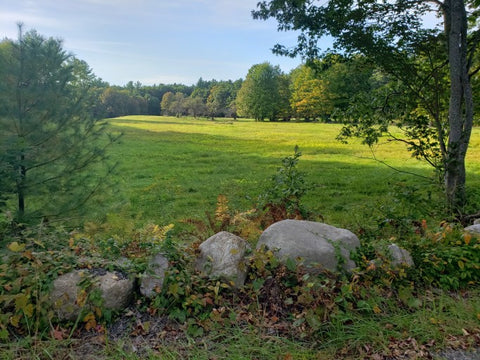 Pastoral southern NH scene in Fall