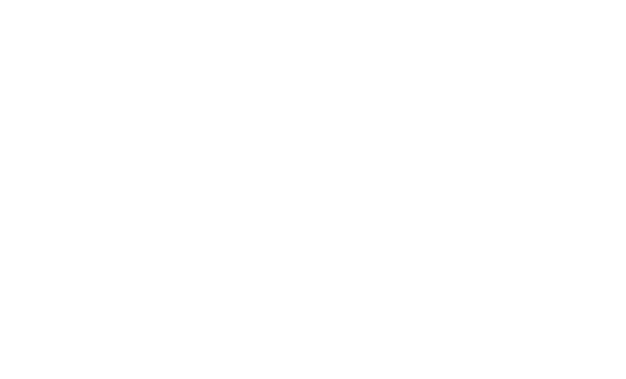 cinch fly