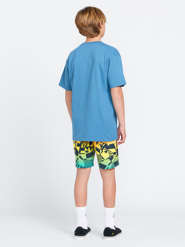 QoGoer Boys Swim Trunks, Kids 3D Graphic Quick Dry Board Shorts Teens  Elastic Waist Swimwear with Mesh Lining