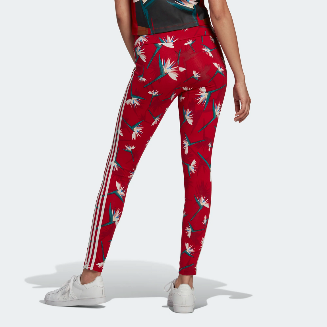 Adidas Thebe Women's Leggings (Red/Multicolor) –