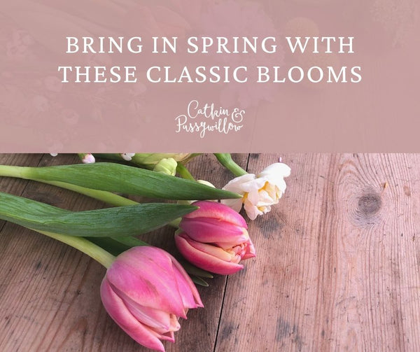 spring bloom blog post