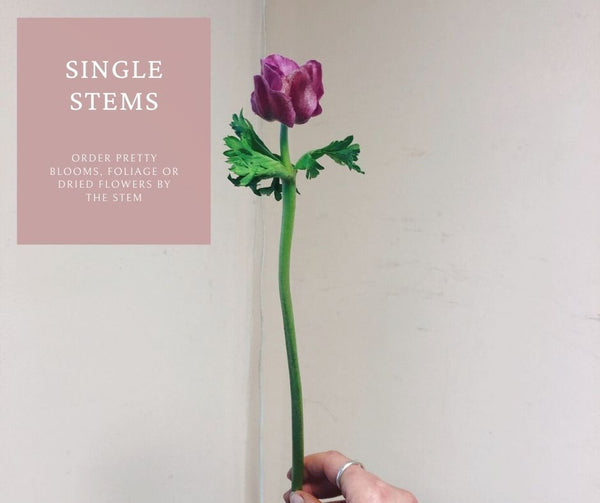 single stems 