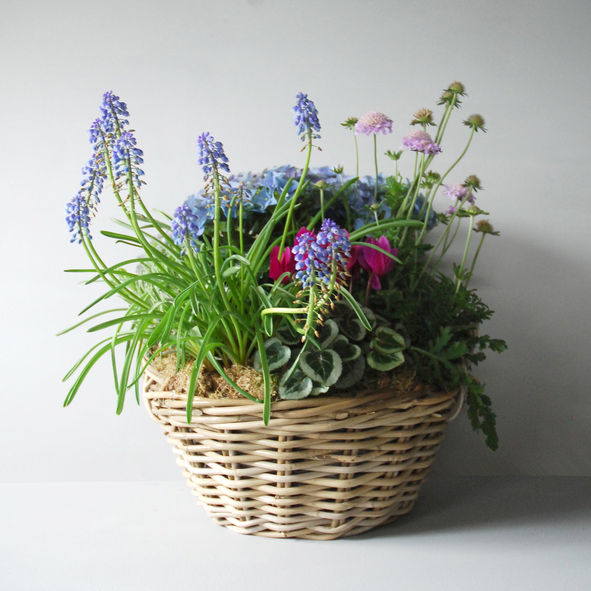 spring basket