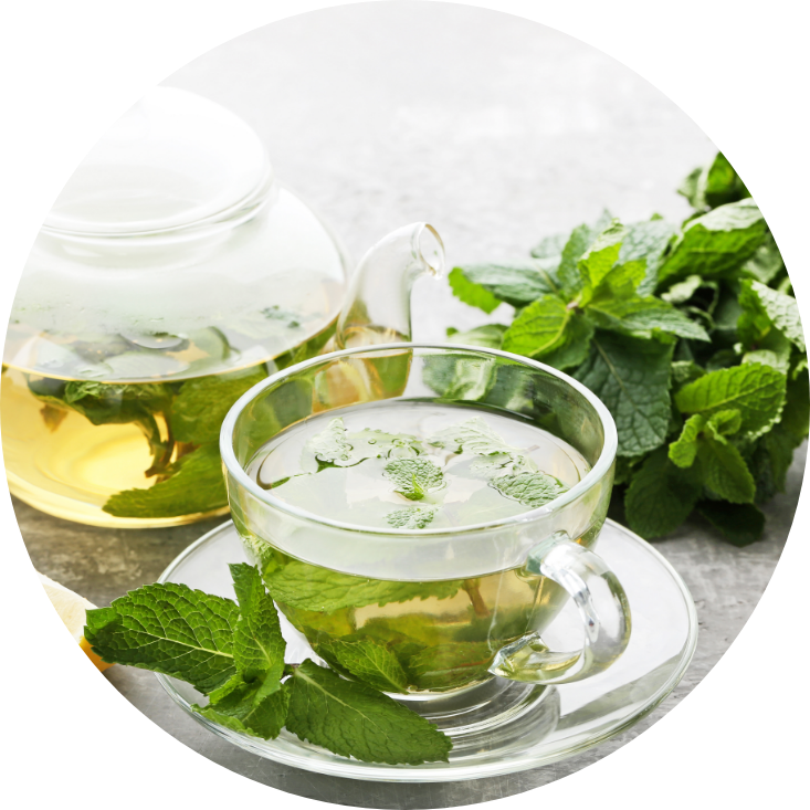 Peppermint leaves with Peppermint Tea