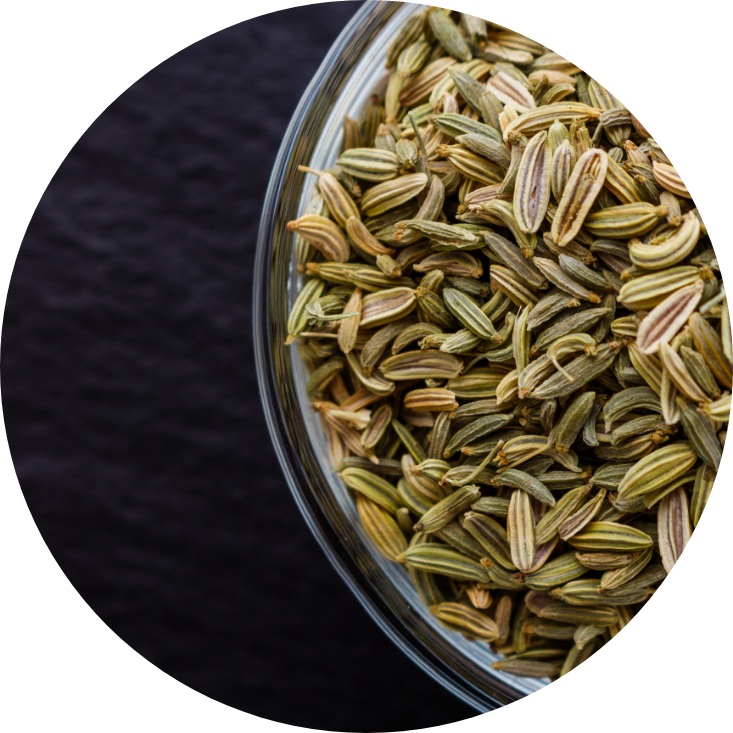 fennel seeds in a bowl