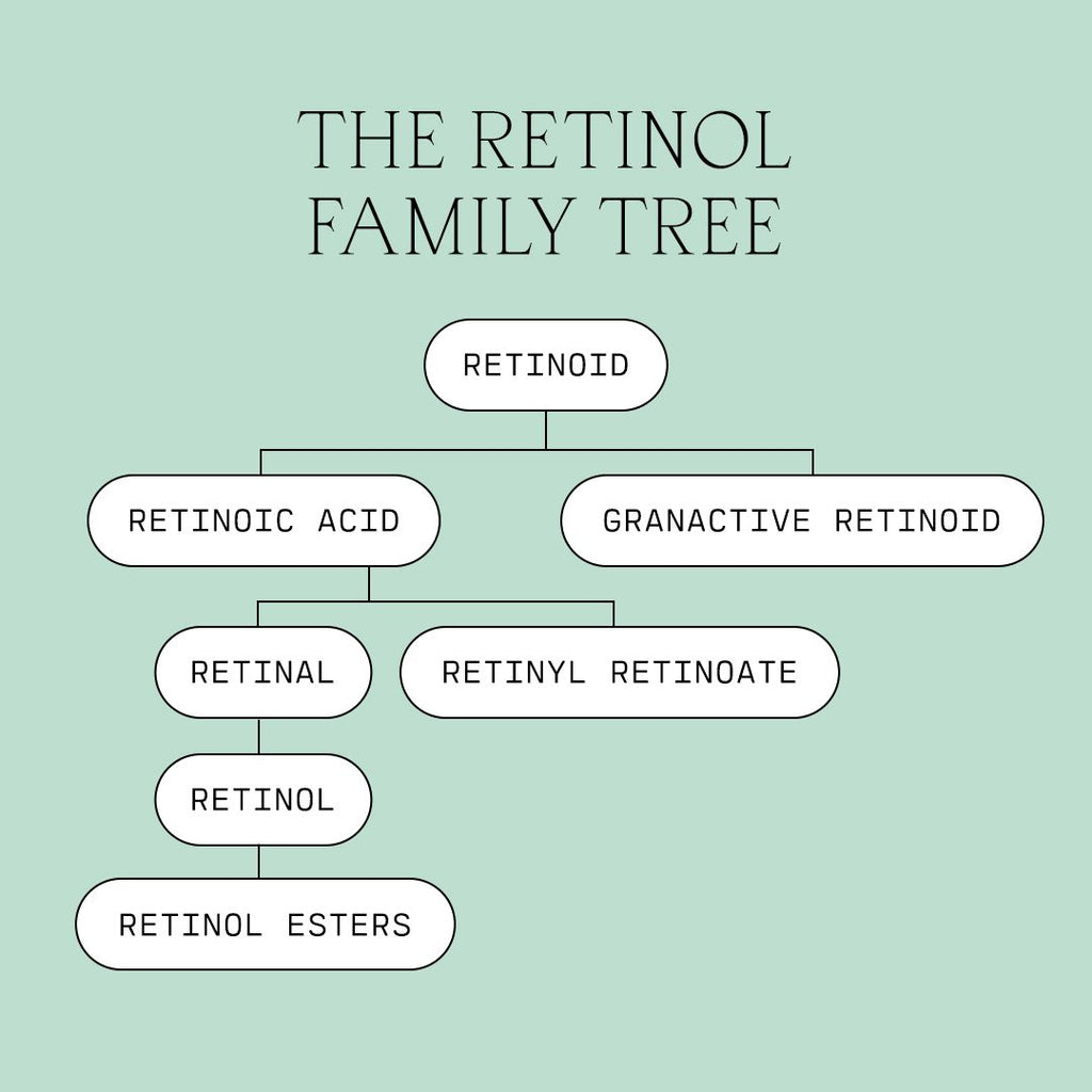 The Retinol Family Tree