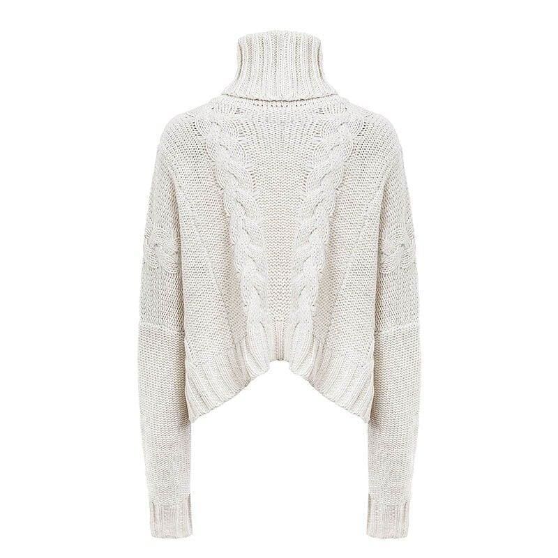 Harajuku Turtleneck Crop Sweater Autumn Winter Knitted Jumper – Hplify