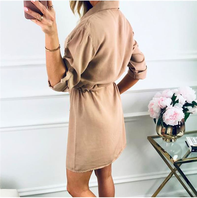 Women Autumn Casual Plain T Shirt Dress Elegant Long Sleeve V Neck Loose Mini Dress Ladies Solid Colour Streetwear Plus Size