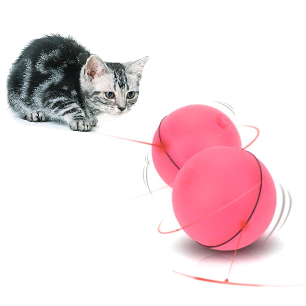 cat magic ball