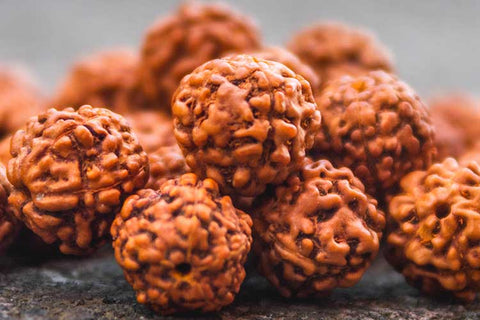 Rudraksha | MANTRAPIECE