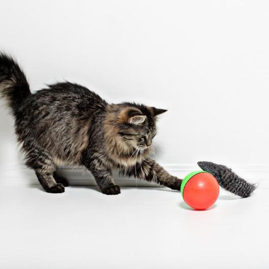 weasel ball cat toy