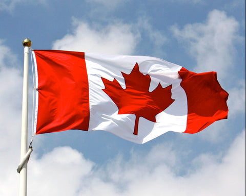 Canadian Flag to Symbolize the Canadian Government Donating Money to Eco Friendly Organizations to Fight Plastic Pollution