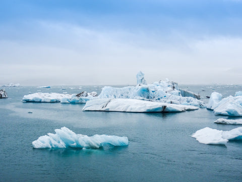 Icebergs global warming