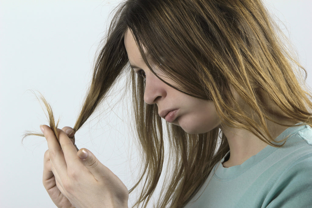 Hair Scissors VS Regular Scissors: The Big Difference – KIZEN Shears