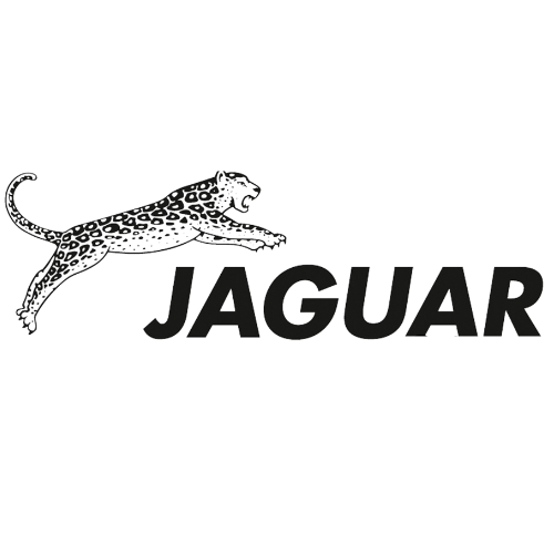 Jaguar saks