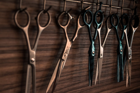 A collection of new Japanese Scissor Shears