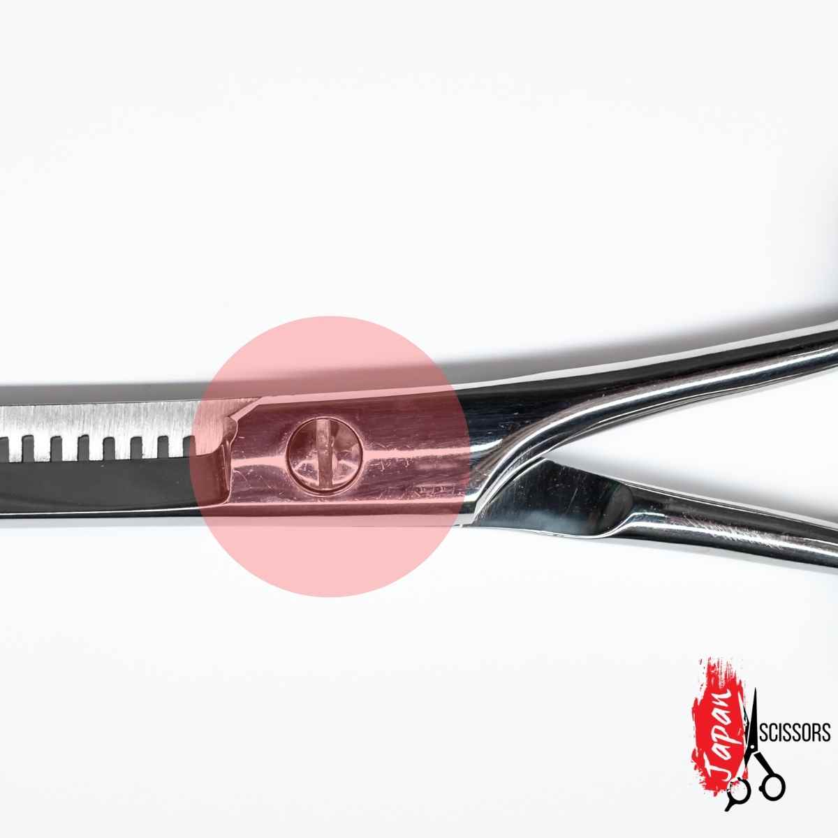 A picture of the regular screw types that hair scissors use