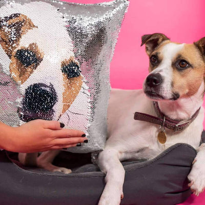 dog sequin pillow