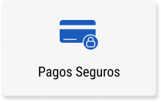 pagos_seguros