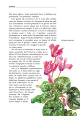 Giardino per tutte le stagioni Franco Muzzio Editore Sackville West