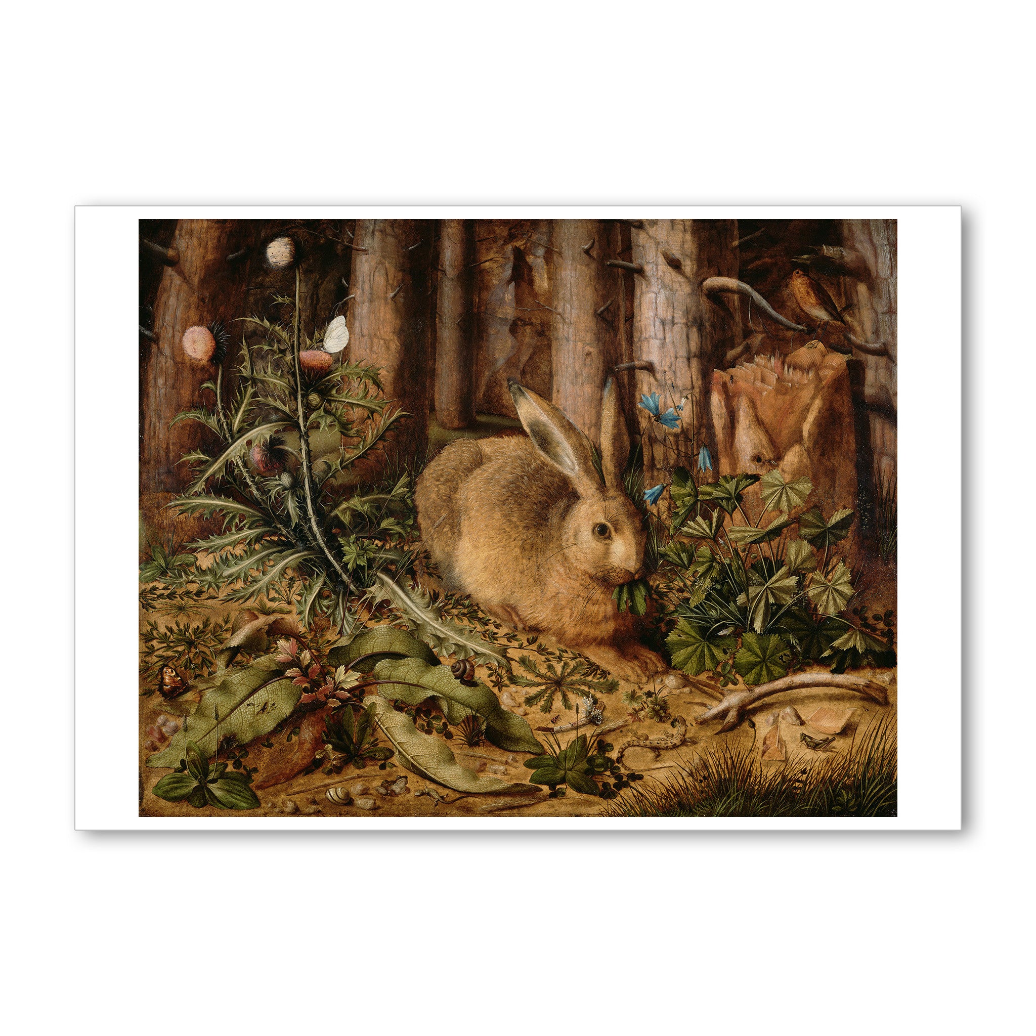 Hoffman - A Hare in the Forest - 5