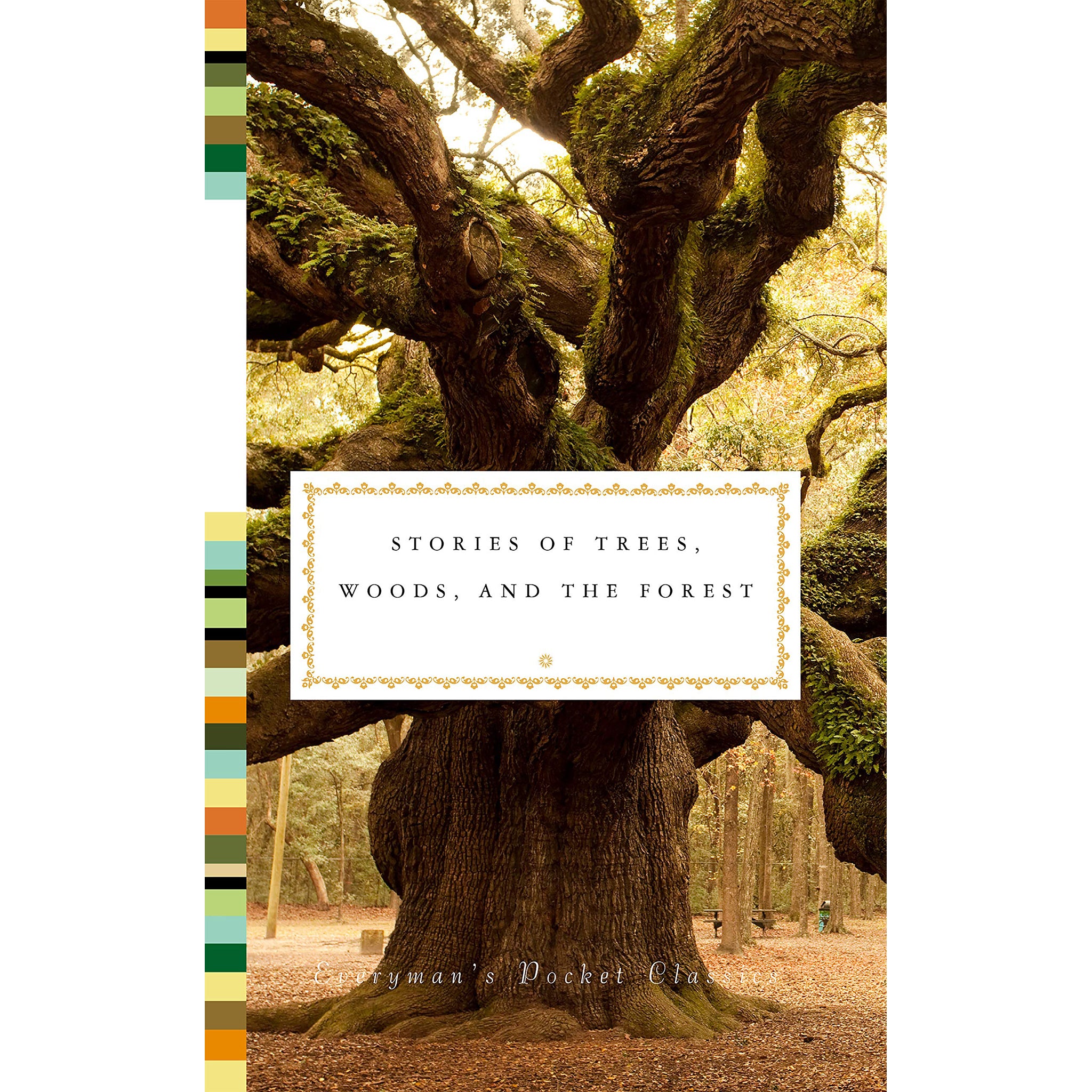 Stories of Trees, Woods, and the Forest