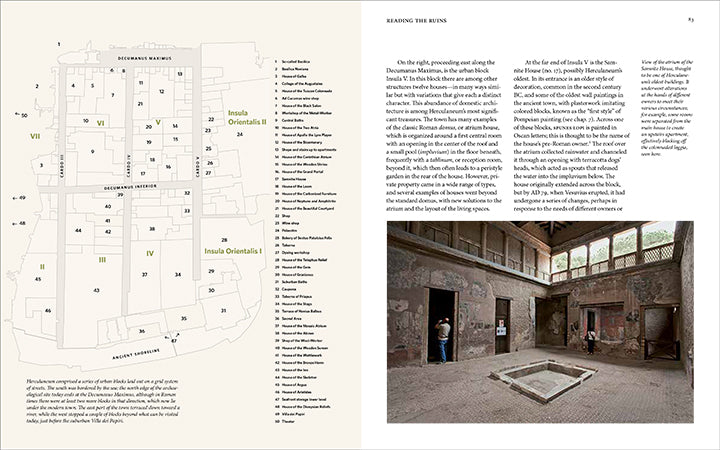 Herculaneum and the House of the Bicentenary: History and Heritage