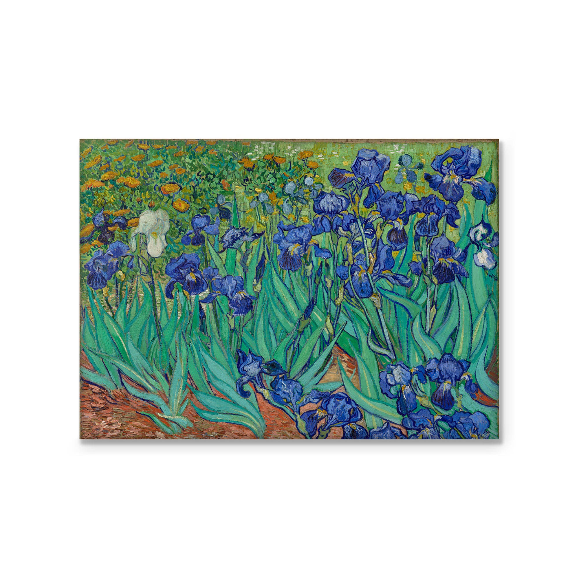 Magnet - Irises - Getty Museum Store