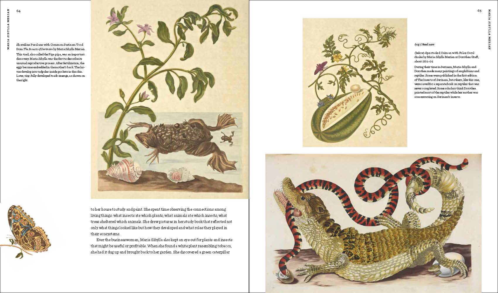 Maria Sibylla Merian: Artist, Scientist, Adventurer