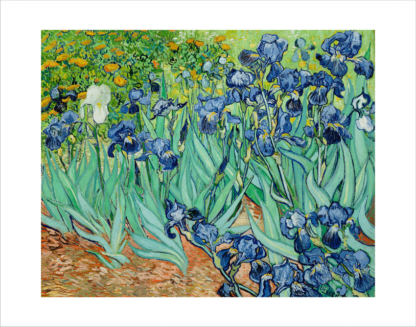 Van Gogh Irises 11