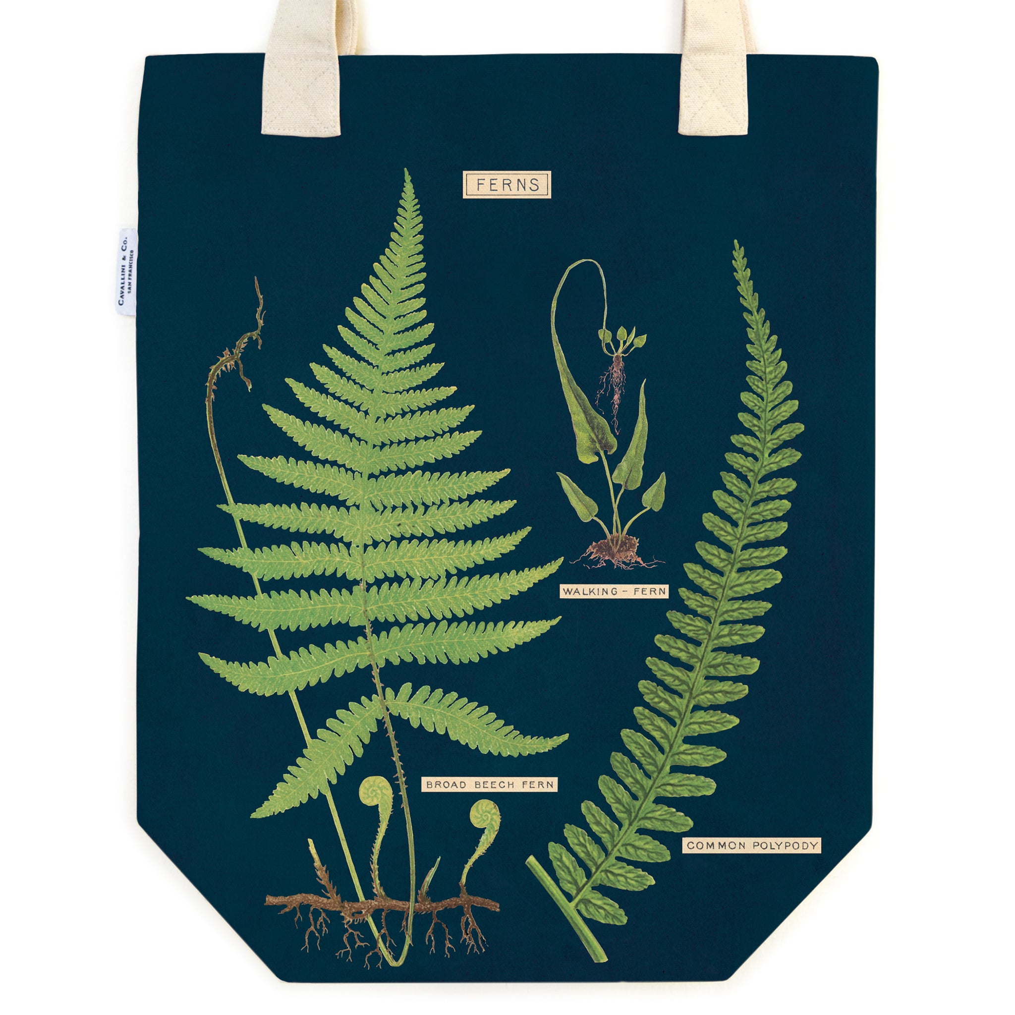 Botanical Fern Tote Bag