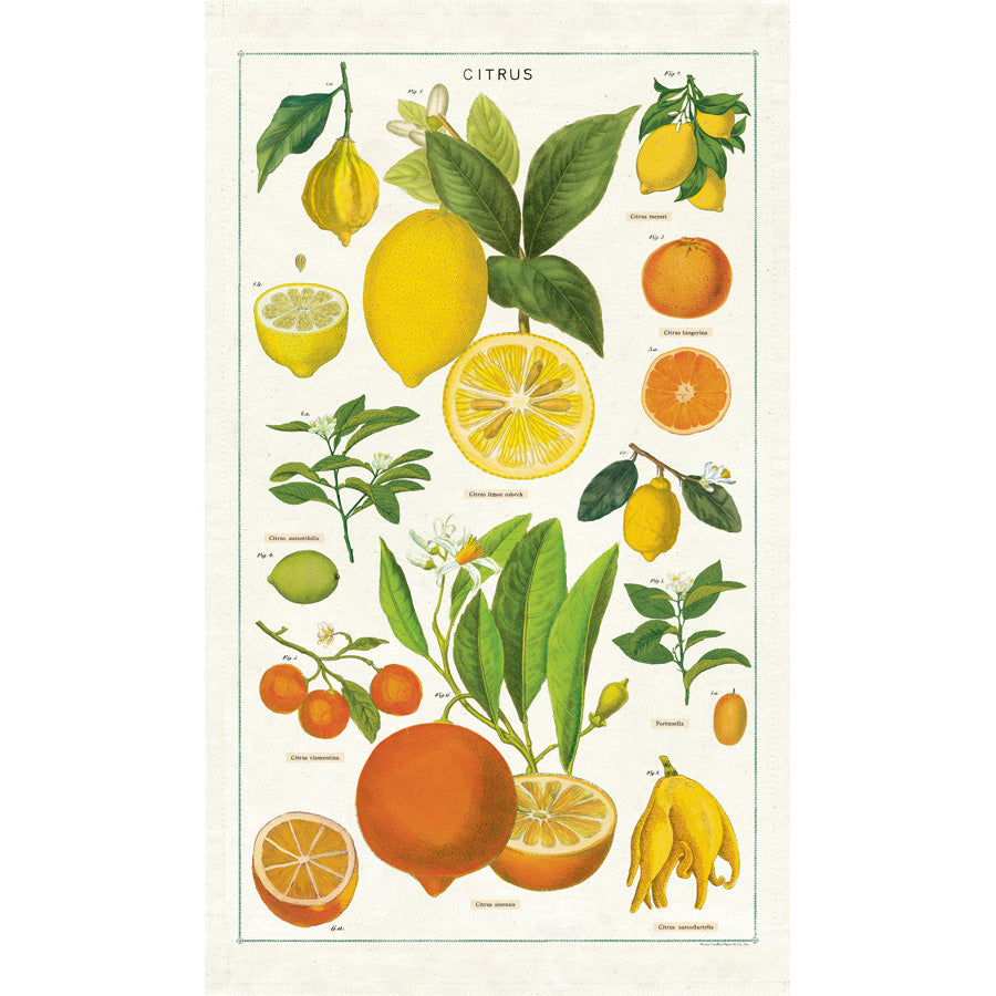 Couleur Nature Fruit Tea Towels (Set of 3) Yellow