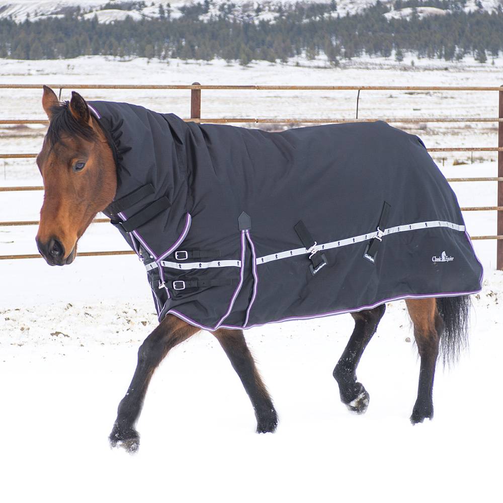 Mid-winter Blanket Repair - Horse Illustrated