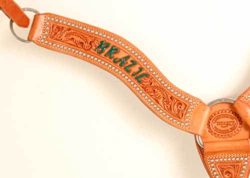 AJ Style Custom Breastcollar