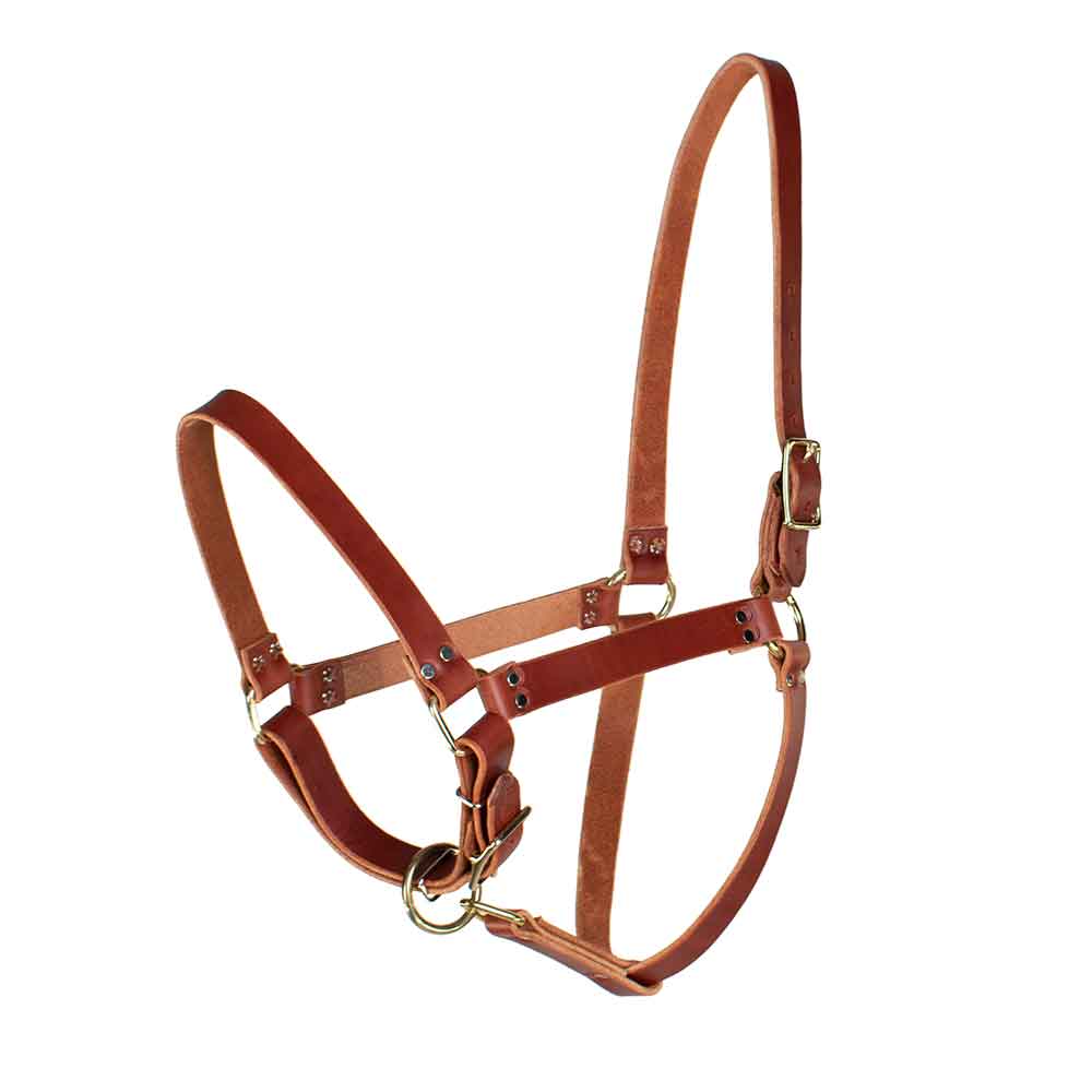 Cashel Flat Braid Bronc Halter