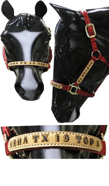 Custom Made Louis Vuitton LV Print Bronc Nose Halter – Jopps Tack