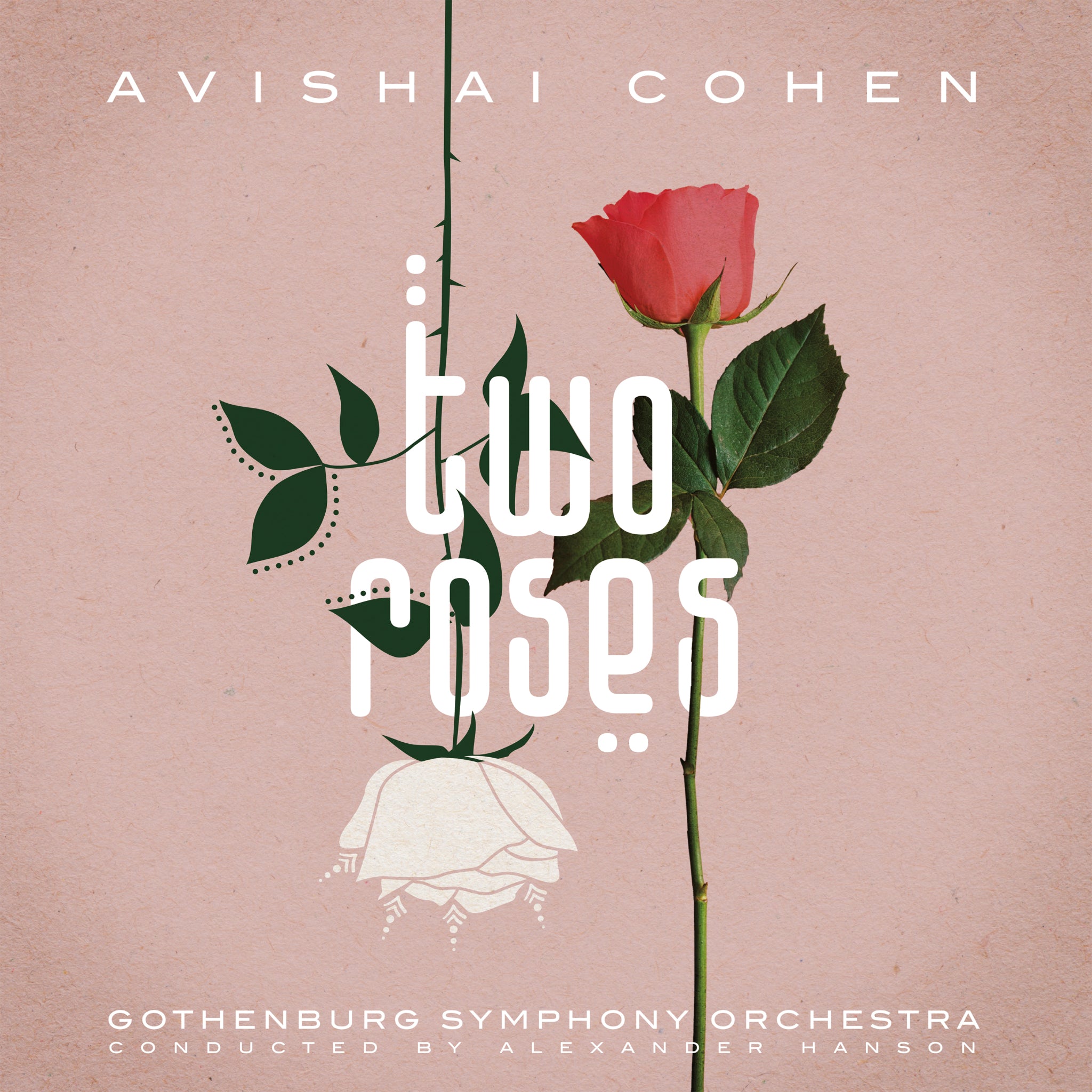Avishai Cohen - Two Roses [CD] – Horizons Music
