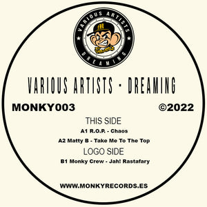 TARIOUS ARTISTS - DREANING MONKY003 2022 THIS SIDE 